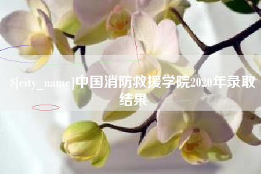 嘉善中国消防救援学院2020年录取结果