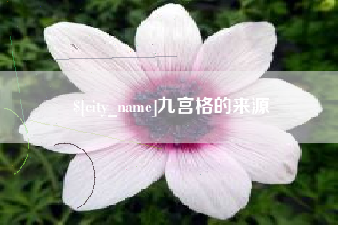 嘉善九宫格的来源