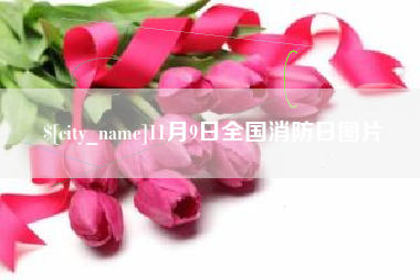 嘉善11月9日全国消防日图片