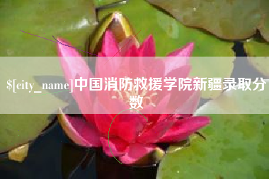 嘉善中国消防救援学院新疆录取分数
