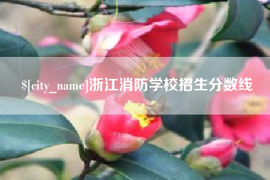 嘉善浙江消防学校招生分数线