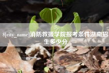 嘉善消防救援学院报考条件湖南招生多少分