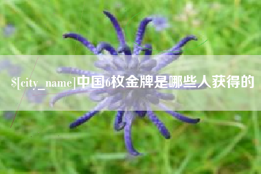 嘉善中国6枚金牌是哪些人获得的