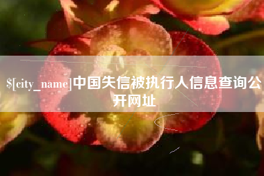 嘉善中国失信被执行人信息查询公开网址