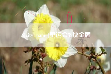 嘉善奥运会39块金牌