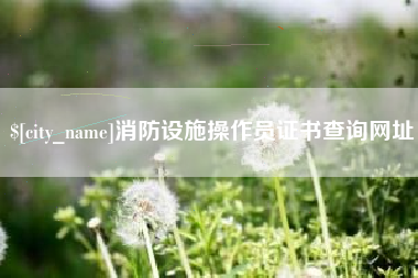 嘉善消防设施操作员证书查询网址