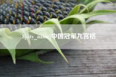 嘉善中国冠军九宫格