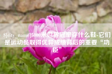 嘉善5000米世界冠军穿什么鞋-它们是运动员取得优异成绩背后的重要“功臣”