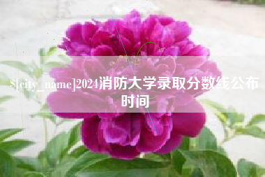 嘉善2024消防大学录取分数线公布时间