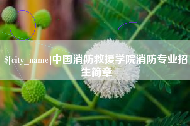 嘉善中国消防救援学院消防专业招生简章