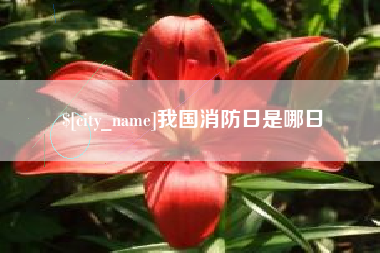 嘉善我国消防日是哪日