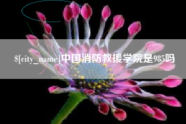 嘉善中国消防救援学院是985吗