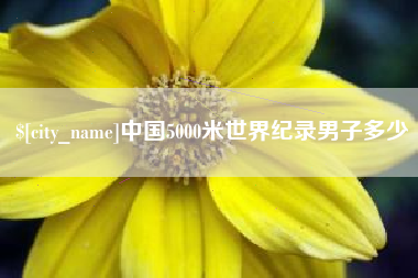 嘉善中国5000米世界纪录男子多少
