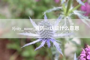 嘉善消防ccc认证什么意思