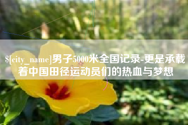 嘉善男子5000米全国记录-更是承载着中国田径运动员们的热血与梦想