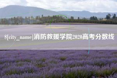 嘉善消防救援学院2020高考分数线