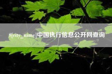 嘉善中国执行信息公开网查询