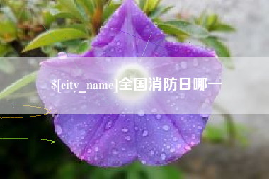 嘉善全国消防日哪一