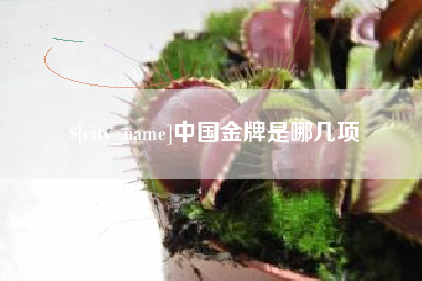 嘉善中国金牌是哪几项