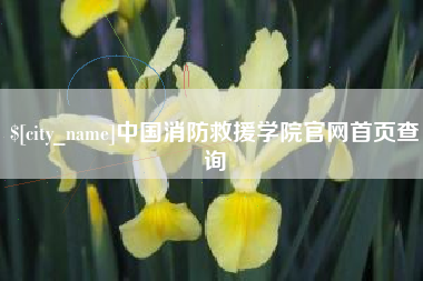 嘉善中国消防救援学院官网首页查询