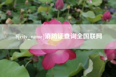 嘉善消防证查询全国联网