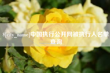 嘉善中国执行公开网被执行人名单查询