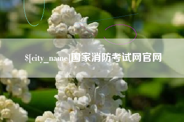 嘉善国家消防考试网官网