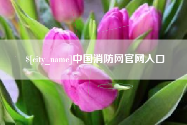 嘉善中国消防网官网入口