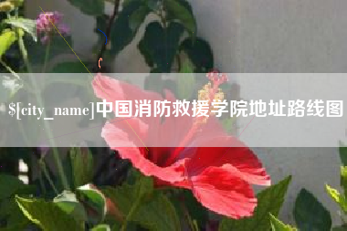 嘉善中国消防救援学院地址路线图