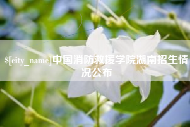 嘉善中国消防救援学院湖南招生情况公布