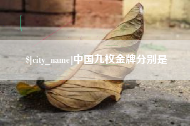 嘉善中国九枚金牌分别是