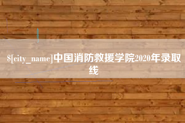 嘉善中国消防救援学院2020年录取线