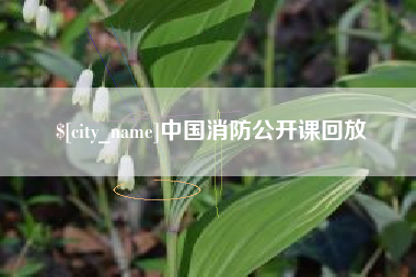 嘉善中国消防公开课回放
