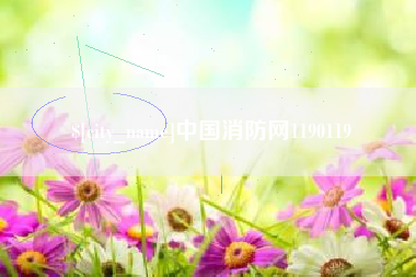 嘉善中国消防网1190119