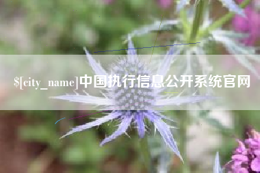 嘉善中国执行信息公开系统官网