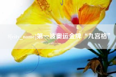 嘉善第一波奥运金牌“九宫格”