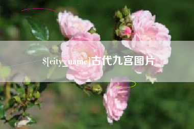 嘉善古代九宫图片
