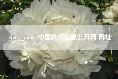嘉善中国执行信息公开网 网址