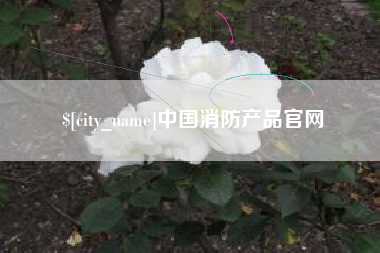 嘉善中国消防产品官网
