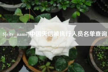 嘉善中国失信被执行人员名单查询
