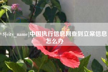 嘉善中国执行信息网查到立案信息怎么办