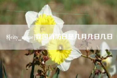 嘉善我国消防日是几月几日几日