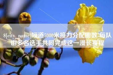 嘉善短道5000米接力分配圈数-每队由多名选手共同完成这一漫长赛程