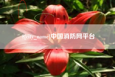 嘉善中国消防网平台