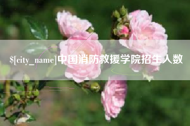 嘉善中国消防救援学院招生人数
