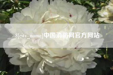 嘉善中国消防网官方网站