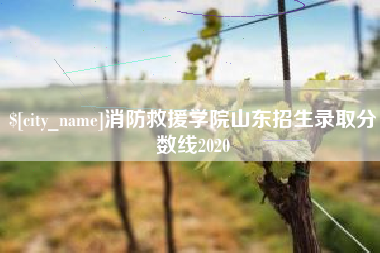 嘉善消防救援学院山东招生录取分数线2020
