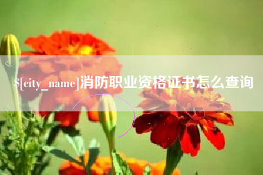 嘉善消防职业资格证书怎么查询