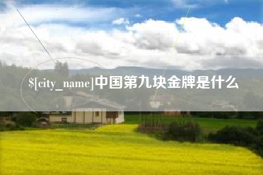 嘉善中国第九块金牌是什么