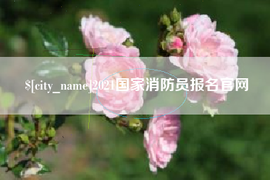 嘉善2021国家消防员报名官网